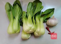 Illustration of how to make garlic rapeseed 1