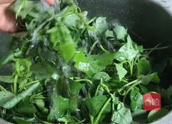 Illustration of how to make spicy and sour sweet potato leaves 1