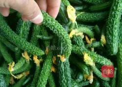 Illustration of how to make pickled cucumbers and pickles 1