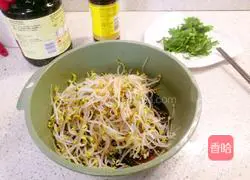 Illustration of how to make cold mung bean sprouts 2