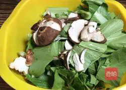 Assorted stew recipes 3