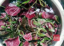 Illustration of how to make stir-fried red amaranth 2