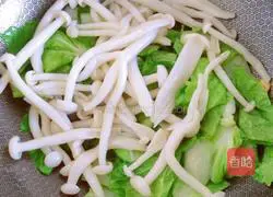 Illustration of how to stir-fry Chinese cabbage with seafood mushrooms 11