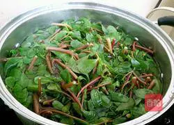 Cold Purslane Illustration of how to make amaranth 3