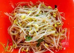 Illustration of how to make cold soybean sprouts 9