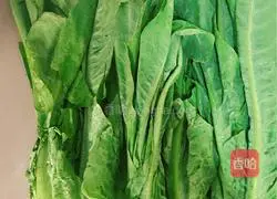 Illustration of how to make oil-consuming phoenix tail 1