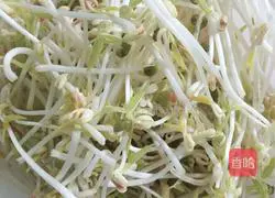 Illustration of how to shake bean sprouts~~~11