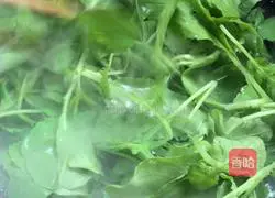 Illustration of how to make chopped pepper mixed with radish sprouts 8