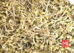 Illustration of how to make self-sprouting bean sprouts 3