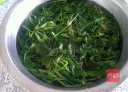 Illustration of how to make mustard spinach 3