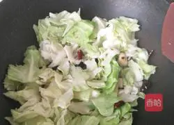 Illustration of hand-shredded cabbage 7