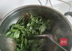 Illustration of how to stir-fry pea tips (bean sprouts) with tomatoes 4