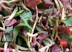 Illustration of how to make cold Houttuynia cordata (leaves) 2