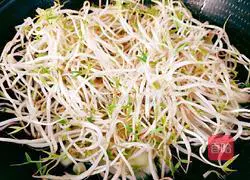 Illustration of how to stir-fry cucumbers with mung bean sprouts 11