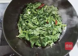 Illustration of home-style fried pumpkin leaves 6