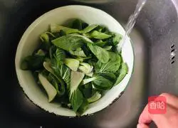 Garlic Rapeseed Recipe Illustration 1