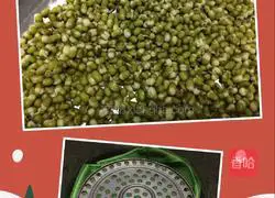 Illustration of how to make mung bean sprouts 3