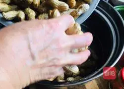 Illustration of braised peanuts 1