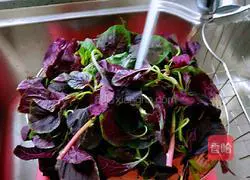 Illustration of how to make garlic amaranth 2