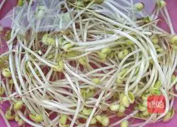 Illustration of how to make spicy bean sprouts 2