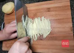 Illustration of homemade fried potato shreds 6