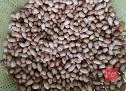 Illustration of how to soak peanuts in vinegar 3