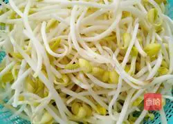 Illustration of Spicy Soybean Sprouts 1