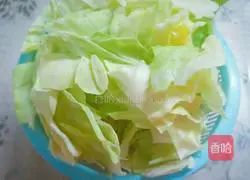 Illustration of Home-style Sauced Cabbage 1