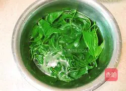 Illustration of how to make cold mulberry leaf sprouts 6