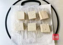 Illustration of how to make fried tofu in air fryer 4