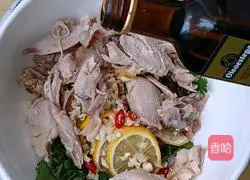 Lemon Shredded Chicken Recipe Illustration 5