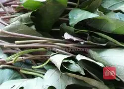 Illustration of how to make cold sweet potato leaves 1