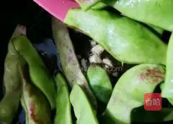 Illustration of how to stew fried beans 6