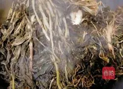 Illustration of how to make prunes 7