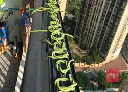 Yuanyuan's homemade bean acid recipe illustration 3