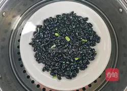 Illustration of soaking black beans in vinegar 6