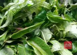 Illustration of pickled Chinese toon 1