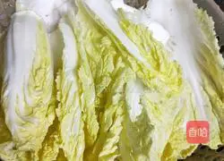 Hot and sour cabbage recipe 2