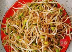 Illustration of how to make fried bean sprouts 1