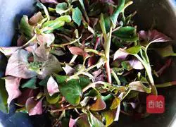 Illustration of how to make cold Houttuynia Cordata (leaves) 3