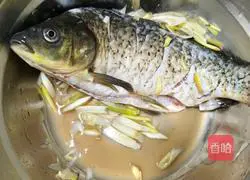 Illustration of how to make cold crucian carp 1