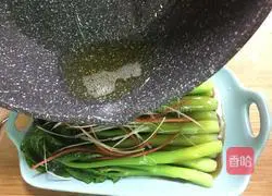 Cantonese-style illustration of boiled kale 14