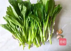 Illustration of how to make stir-fried cabbage 1