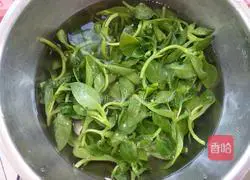 Illustration of how to make cold Andrographis paniculata 1