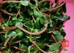 Illustration of how to make cool horseradish tea 6