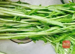Cold water spinach Illustration of how to do it 1