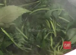 Illustration of Stir-fried Meng Cai 6