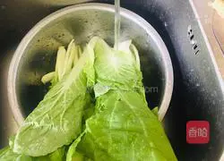 Illustration of how to make garlic cabbage 1