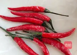 Illustration of how to make pickles 3