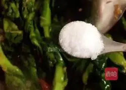 Illustration of Spicy Oyster and Rapeseed Moss 8